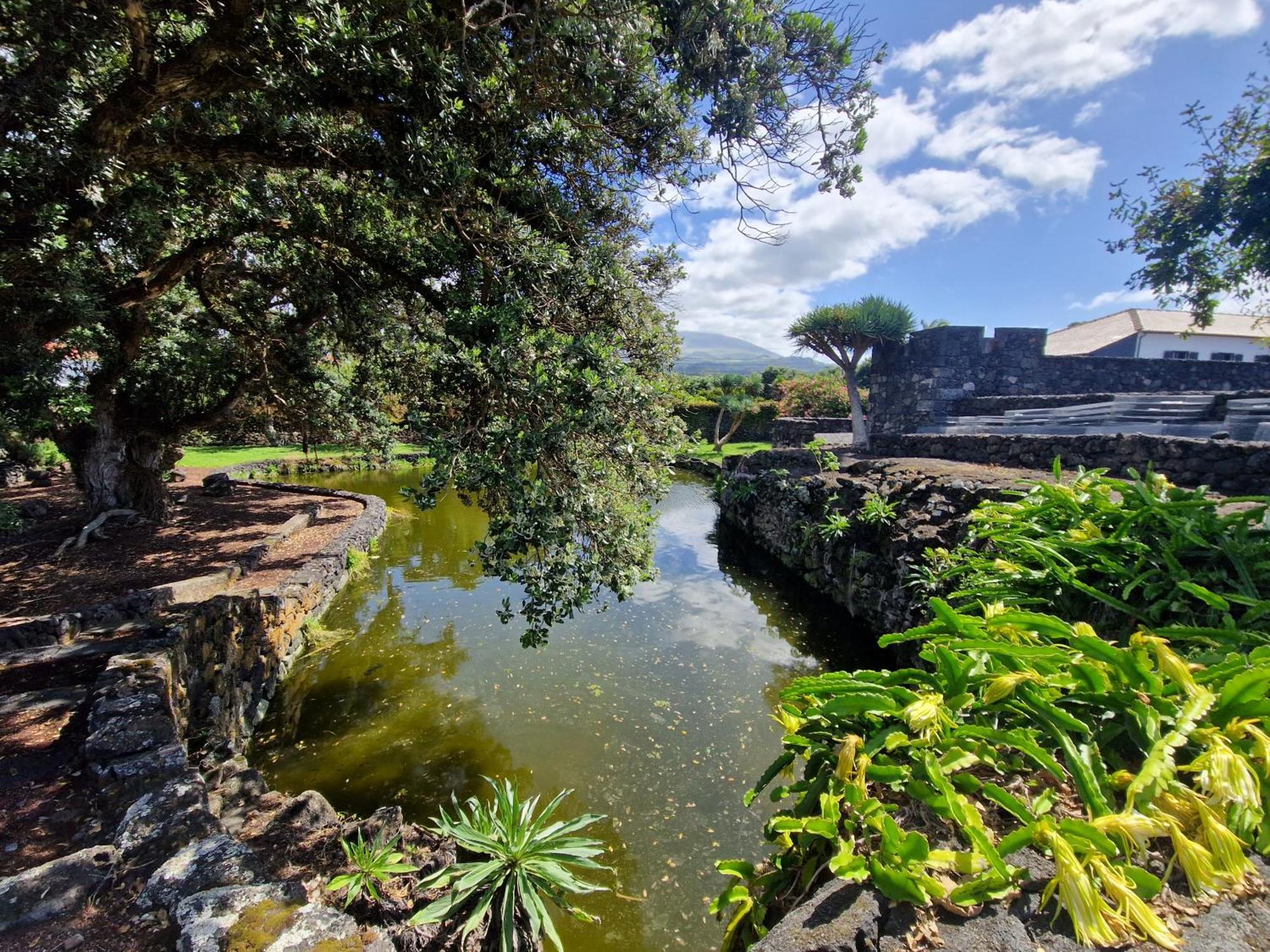 Solar Dos Limas Villa Criacao Velha Buitenkant foto